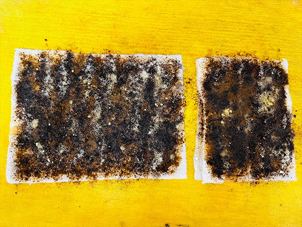 专治骨关节疾病 